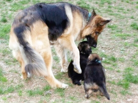 wk5-16cs-lg